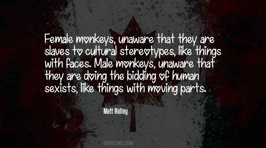 Quotes About Cultural Stereotypes #444187