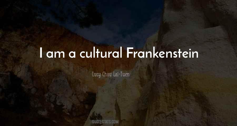 Quotes About Cultural Identity #13181