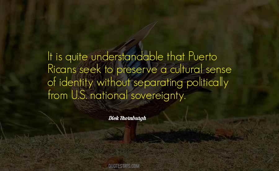 Quotes About Cultural Identity #996172