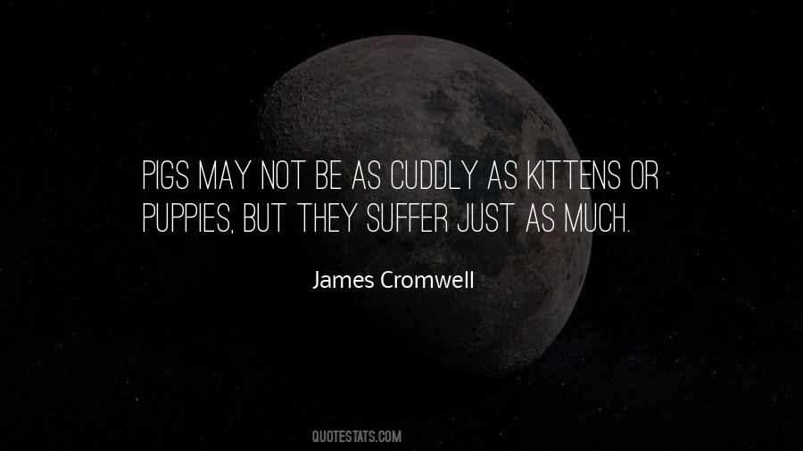 Quotes About Cuddly #832186
