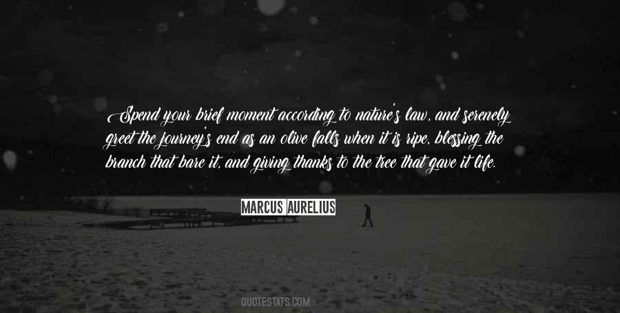 Marcus Gave Quotes #83909