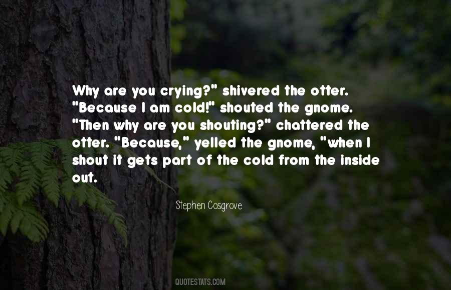 Quotes About Crying On The Inside #745423