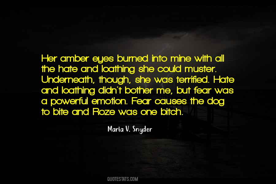 Maria Snyder Quotes #767310