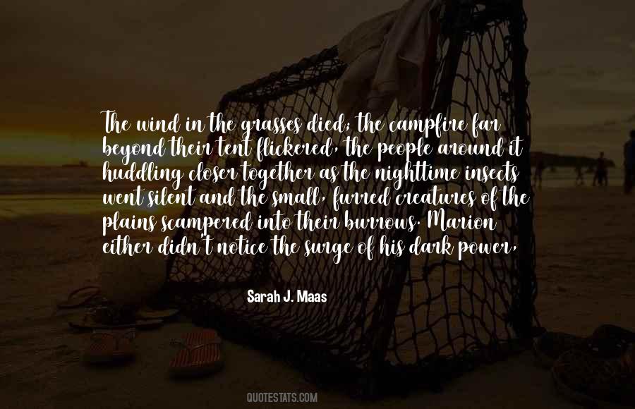 Marion Quotes #1271004