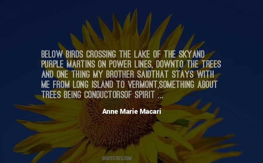 Quotes About Crossing Lines #1675727