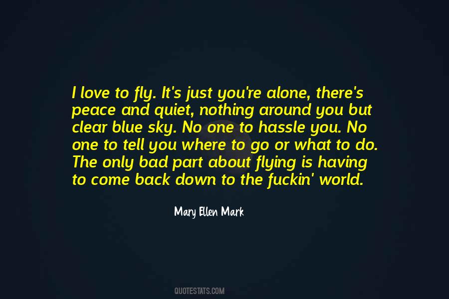 Mary Ellen Quotes #1093793