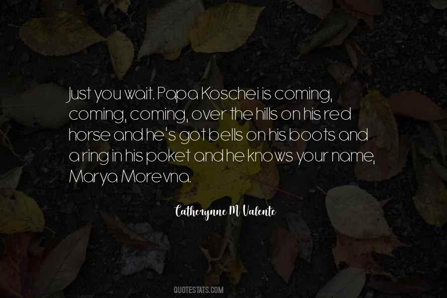 Marya Morevna Quotes #1049241