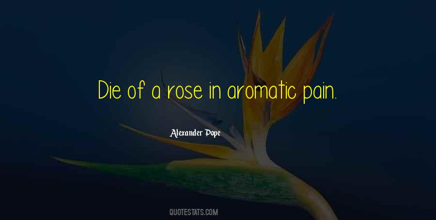 Mashallah Cute Baby Quotes #1010604