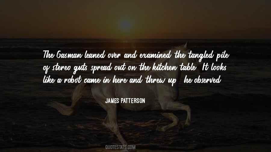 Quotes About Crazy Cat Ladies #386761