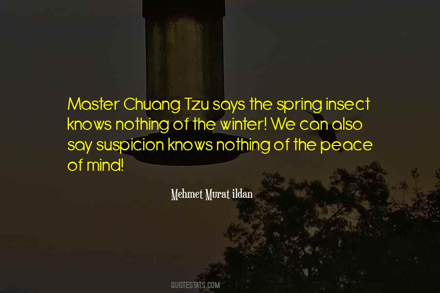 Master Peace Quotes #664525