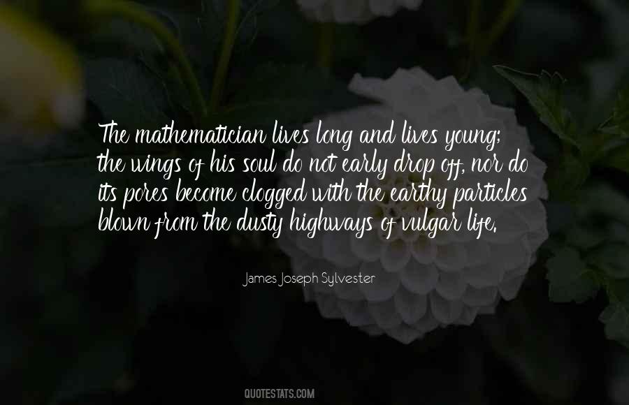 Mathematician Quotes #1236931