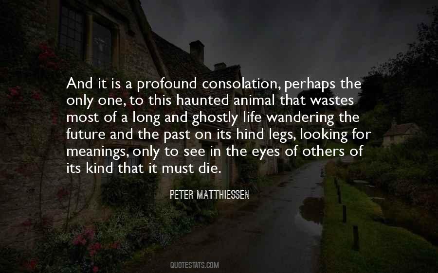 Matthiessen Quotes #1024238