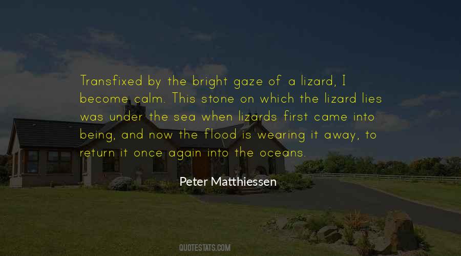 Matthiessen Quotes #1178861