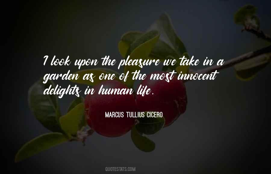 May Look Innocent Quotes #243442