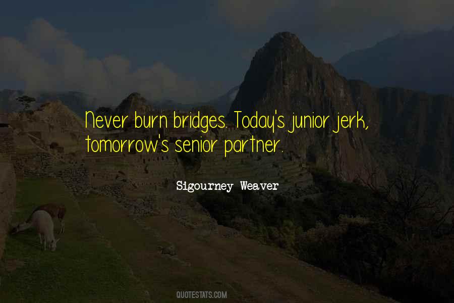 May The Bridges I Burn Quotes #630155