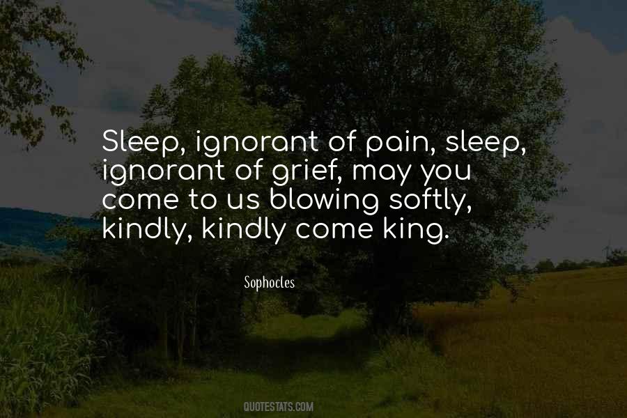 May You Sleep Quotes #623474