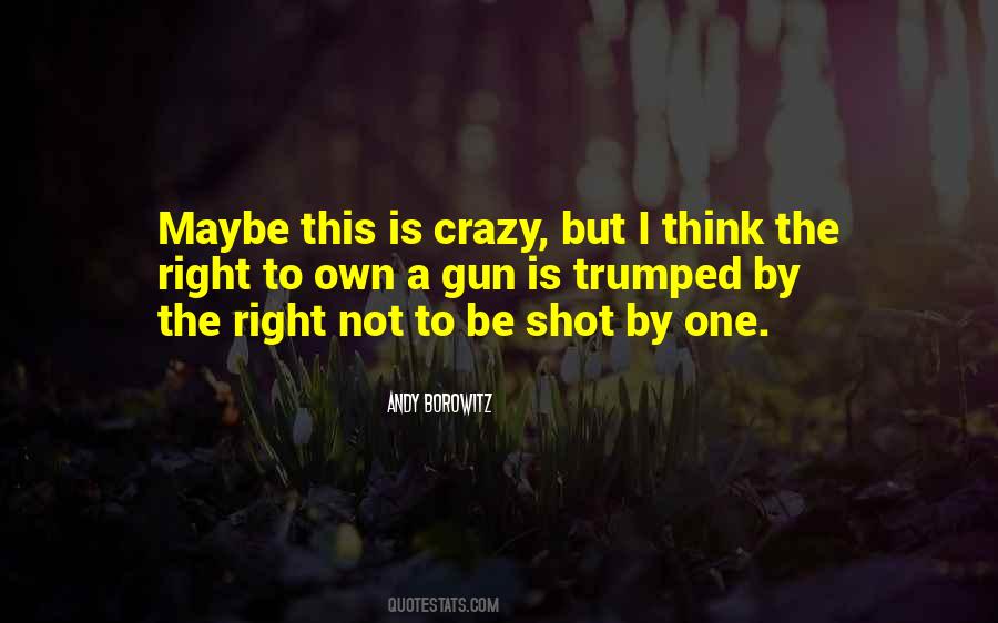 Maybe I'm Crazy Quotes #595836