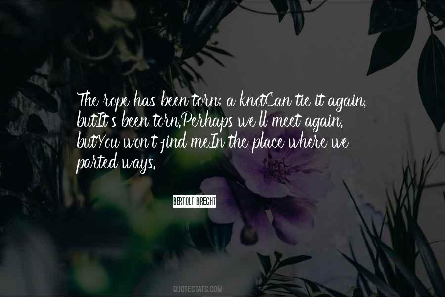 Maybe We'll Meet Again Quotes #275028