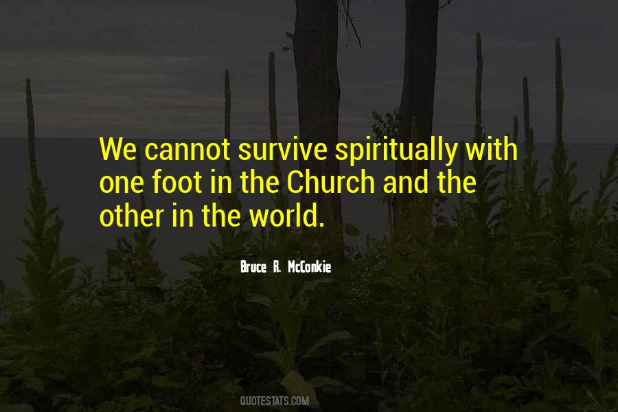 Mcconkie Quotes #1603241