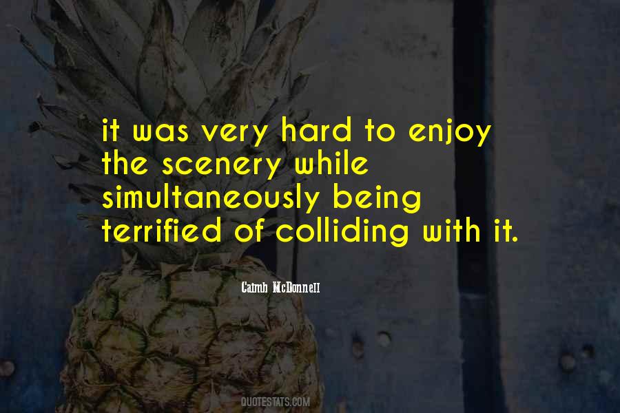 Mcdonnell Quotes #273811