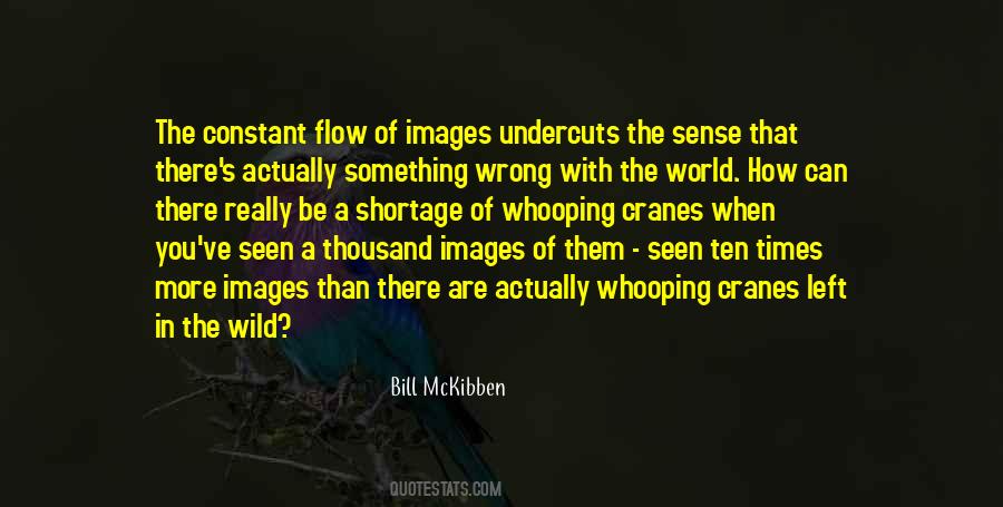 Mckibben Quotes #1536827