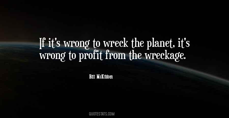 Mckibben Quotes #467832