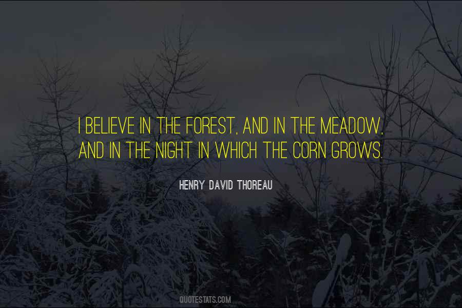 Meadow Quotes #997935
