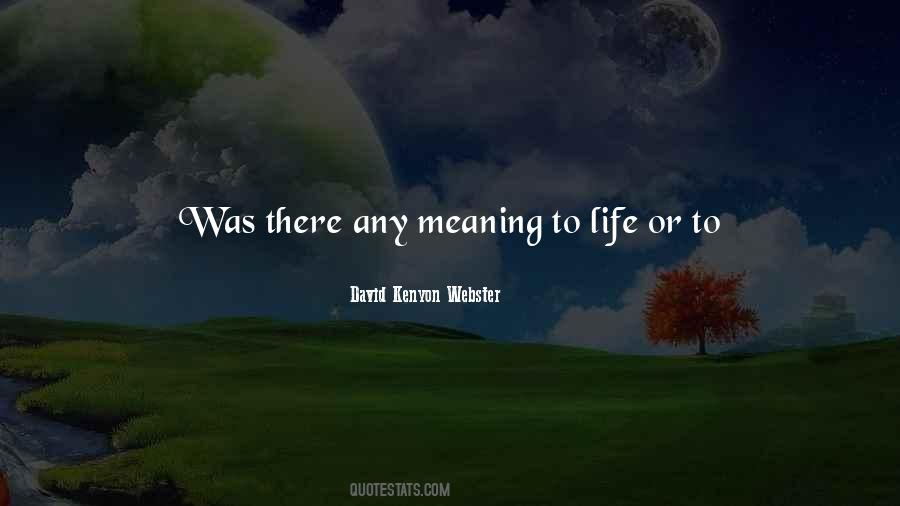 Meaning Of Life Life Quotes #112290