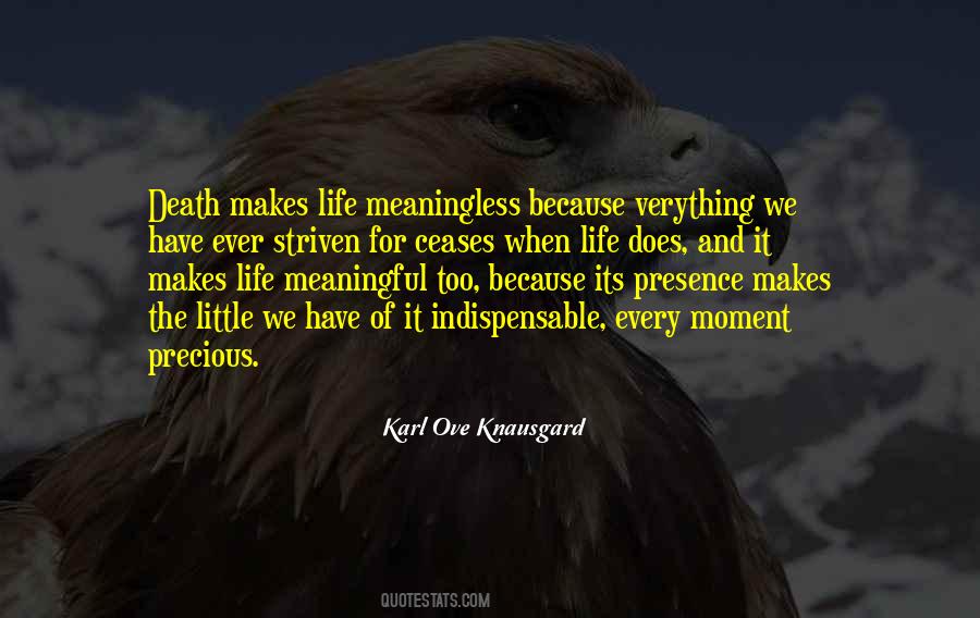 Meaningless Life Quotes #120596