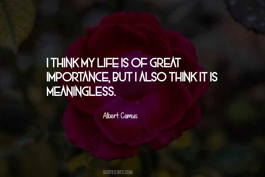Meaningless Life Quotes #72985