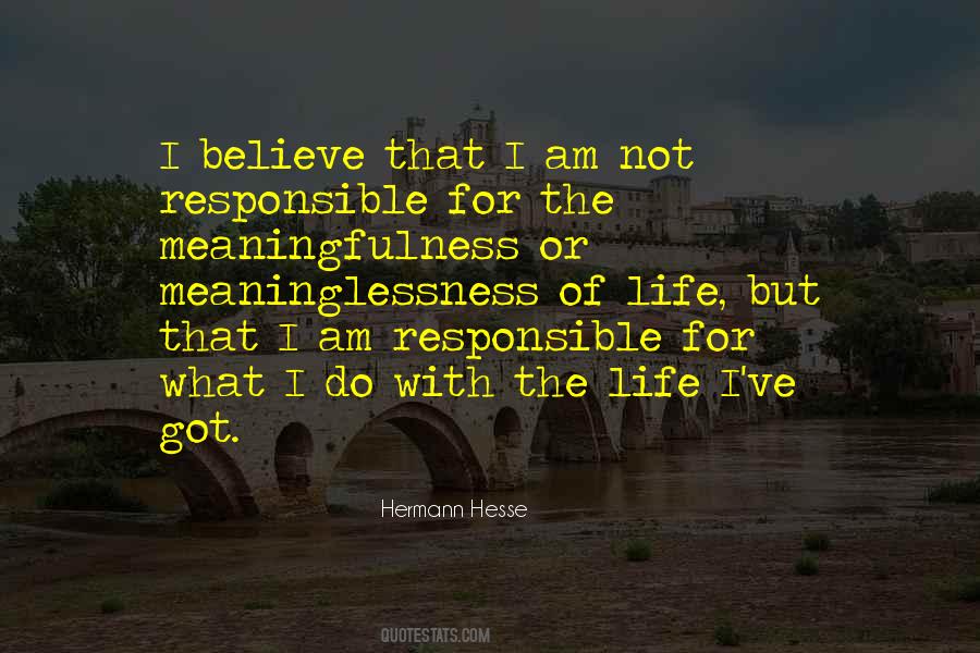 Meaninglessness Of Life Quotes #721370