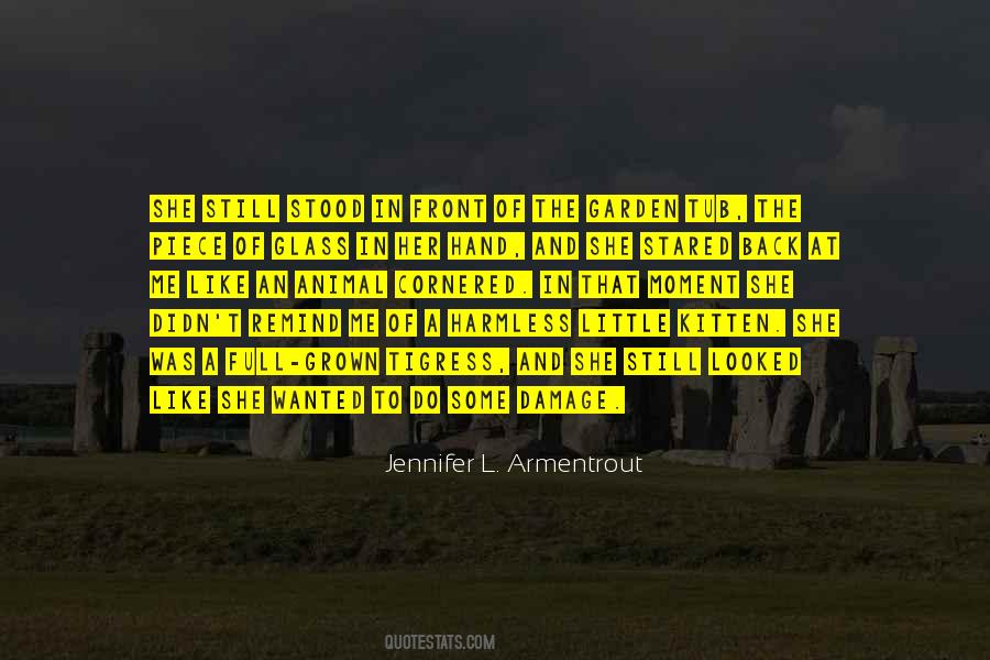 Quotes About Cornered #1373022