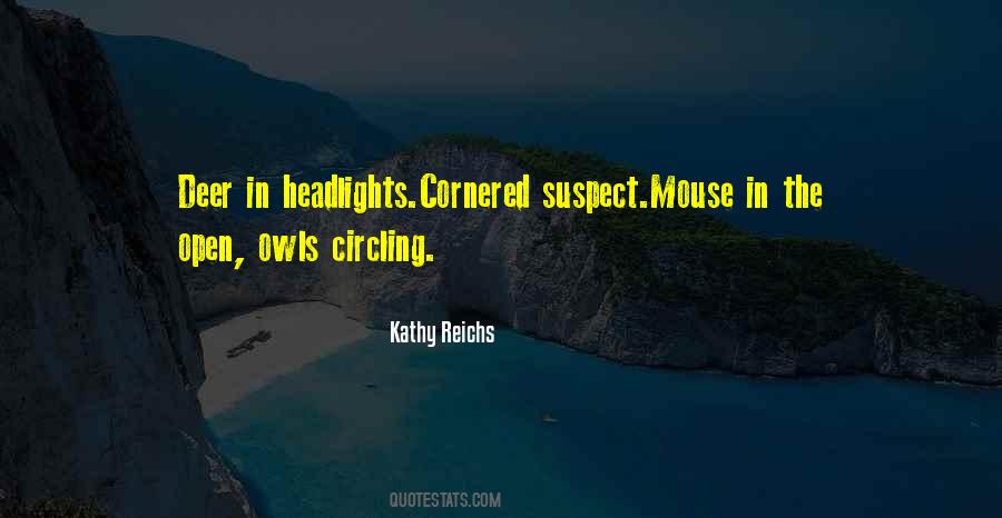Quotes About Cornered #908694