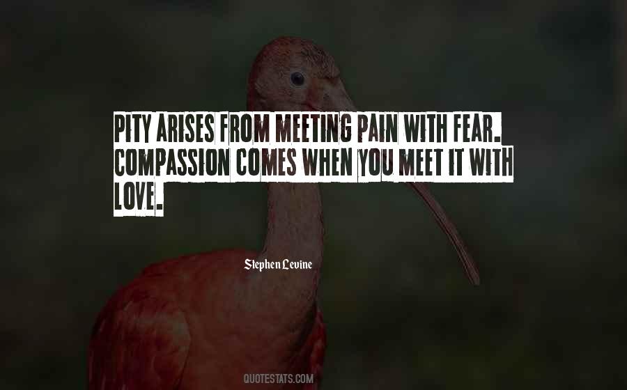 Meet You Love Quotes #321610