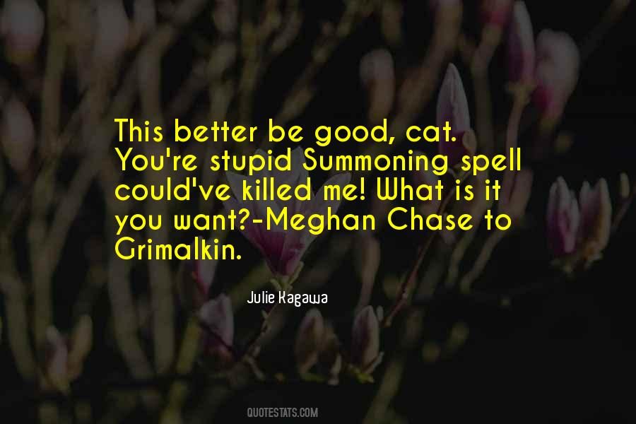 Meghan Chase Quotes #1670294