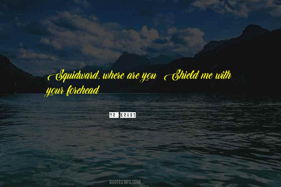Meira Kumar Quotes #1542760