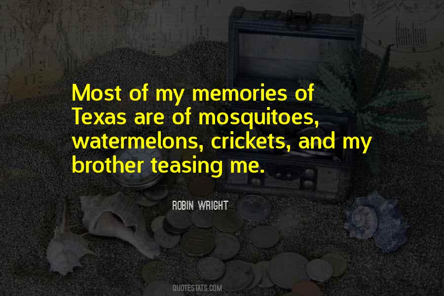 Memories With Brother Quotes #142752