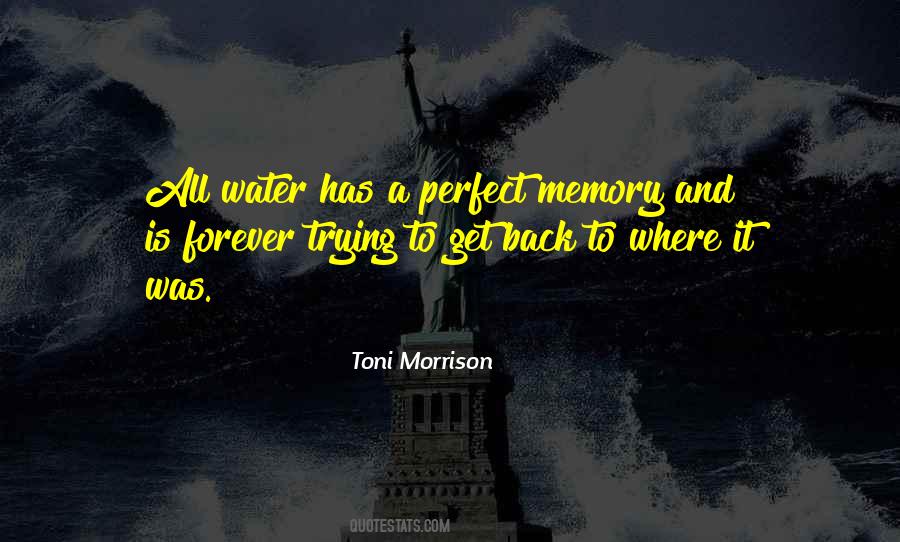 Memory Forever Quotes #1090843