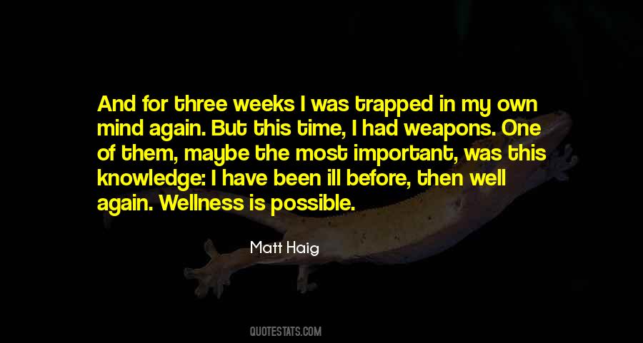 Mental Health Wellness Quotes #1117537
