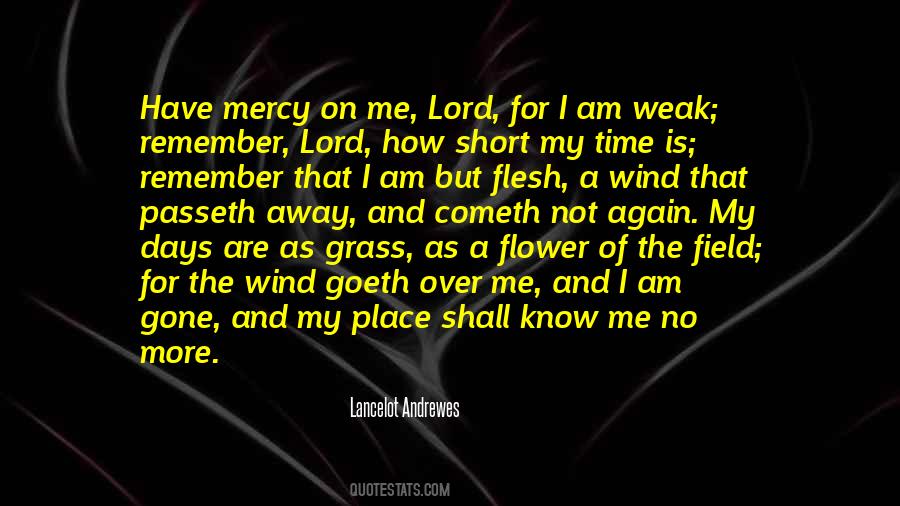 Mercy Of The Lord Quotes #824318