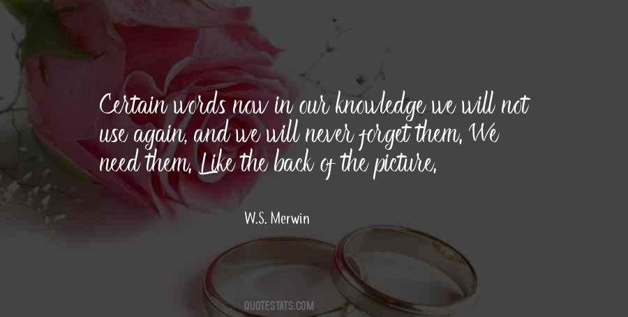 Merwin Quotes #919071