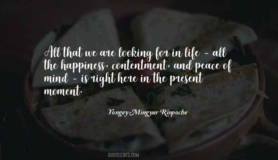 Quotes About Contentment And Happiness #984380 Quotes About Contentment And Happiness #984380