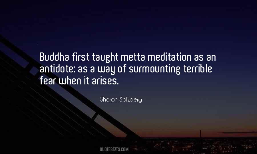 Metta Meditation Quotes #985165