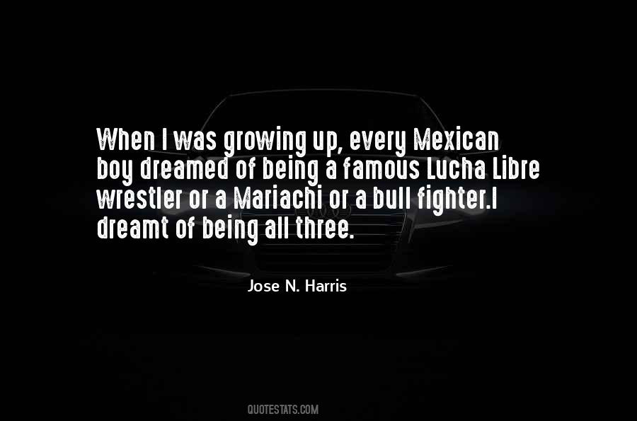 Mexican Wrestler Quotes #1261836