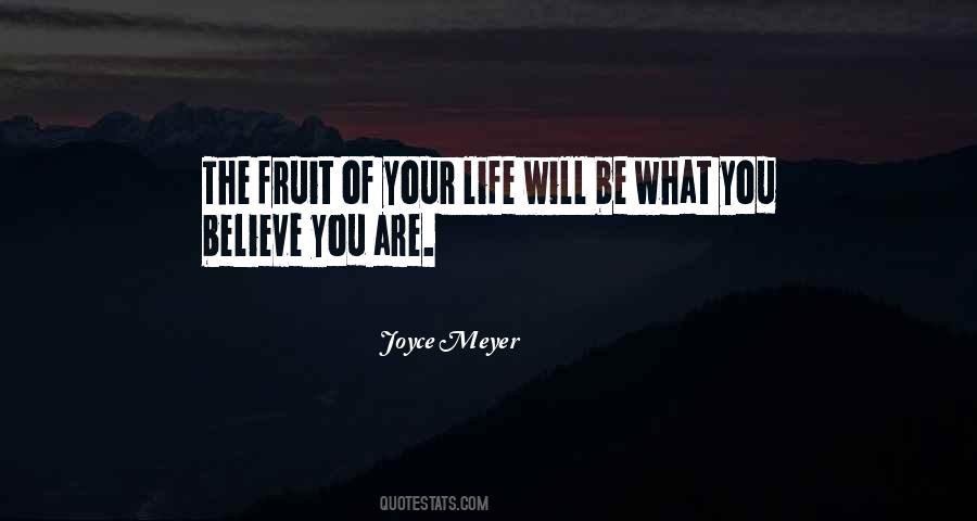 Meyer Quotes #23697