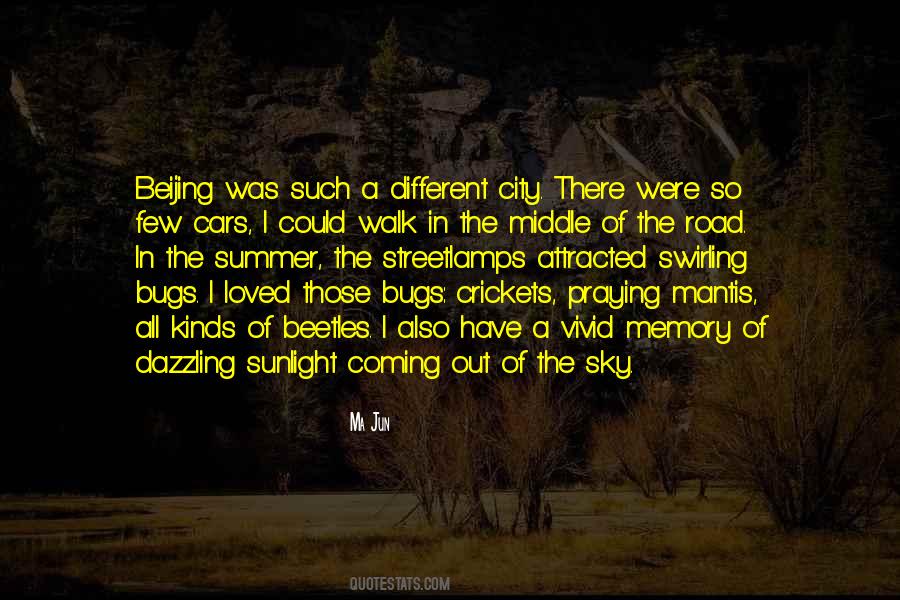Middle Of Summer Quotes #873712