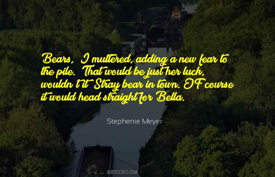 Midnight Sun Stephenie Meyer Quotes #1478032