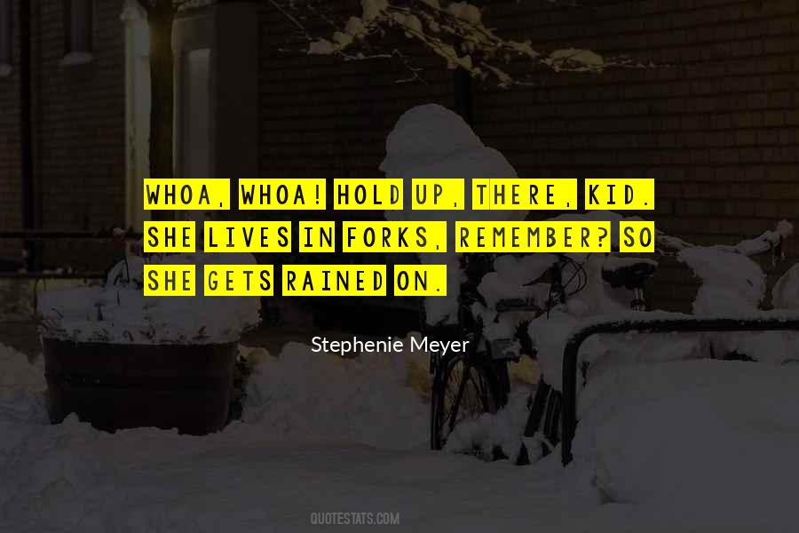 Midnight Sun Stephenie Meyer Quotes #878474