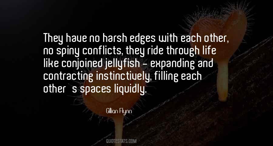Quotes About Conflicts In Life #70556