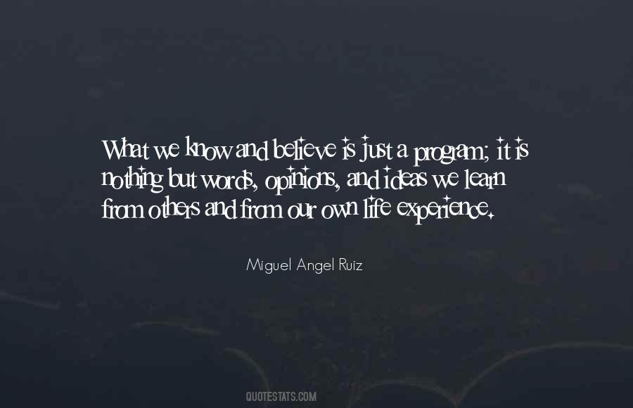 Miguel Angel Quotes #844315